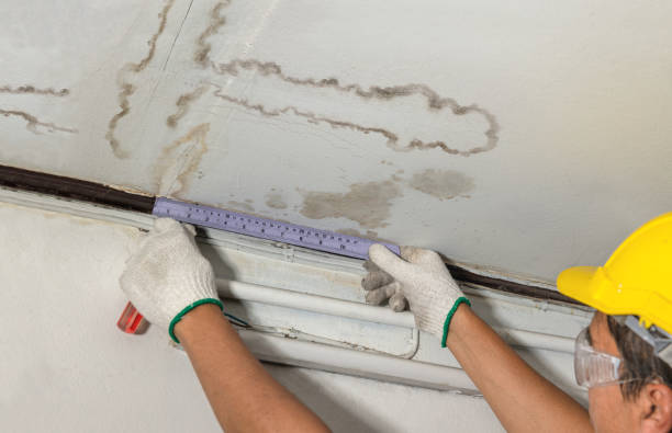 Reliable Burst Pipe Cleanup contractor in Adams, MN by Water Damage Irwin